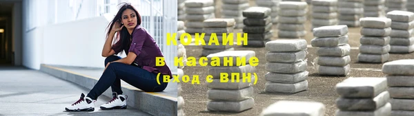 СК Алзамай