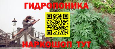 гашик Владимир