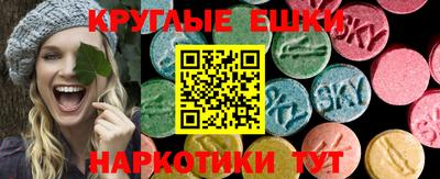 гашик Владимир